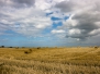 2008_08_21