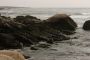 IMG_4657.jpg