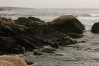 IMG_4657.jpg