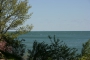 IMG_5437.jpg