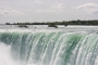 IMG_5460.jpg